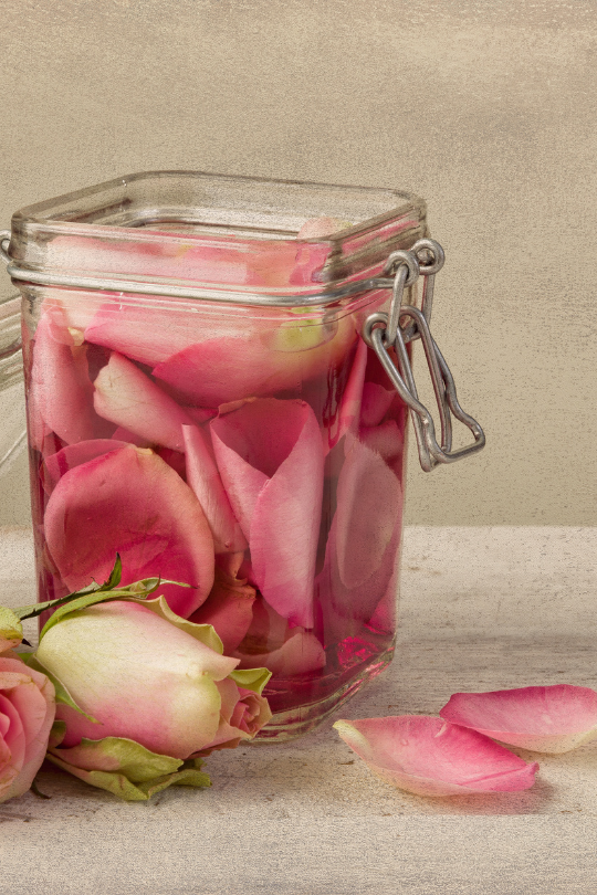 Is Rose Water Good for Curly Hair?